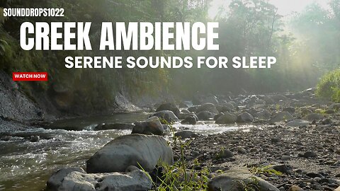 3 Hours of Creek Ambience : Serene Sounds For Sleep