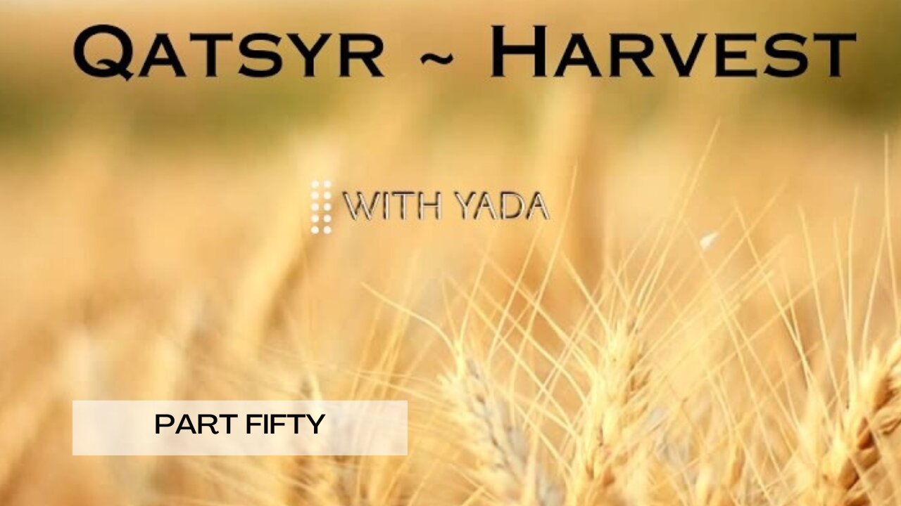 Qatsyr ~ Harvest Part Fifty 11 June 2025