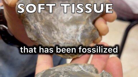 A SERIOUS PROBLEM FOR UNIFORMITARIAN EVOLUTION!
