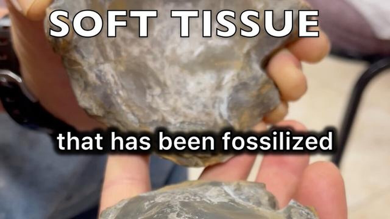A SERIOUS PROBLEM FOR UNIFORMITARIAN EVOLUTION!