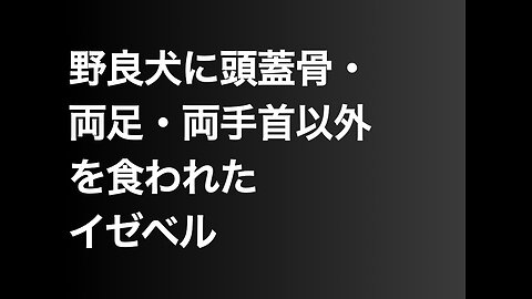 野良犬に頭蓋骨・両足・両手首以外を食われたイゼベル