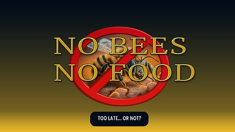 Bees Are Collapsing at Record Rates. Can This Technology Stop It?