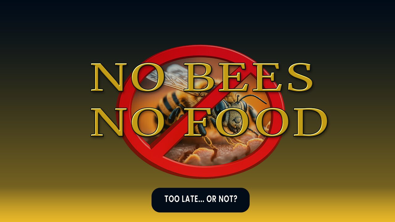 Bees Are Collapsing at Record Rates. Can This Technology Stop It?