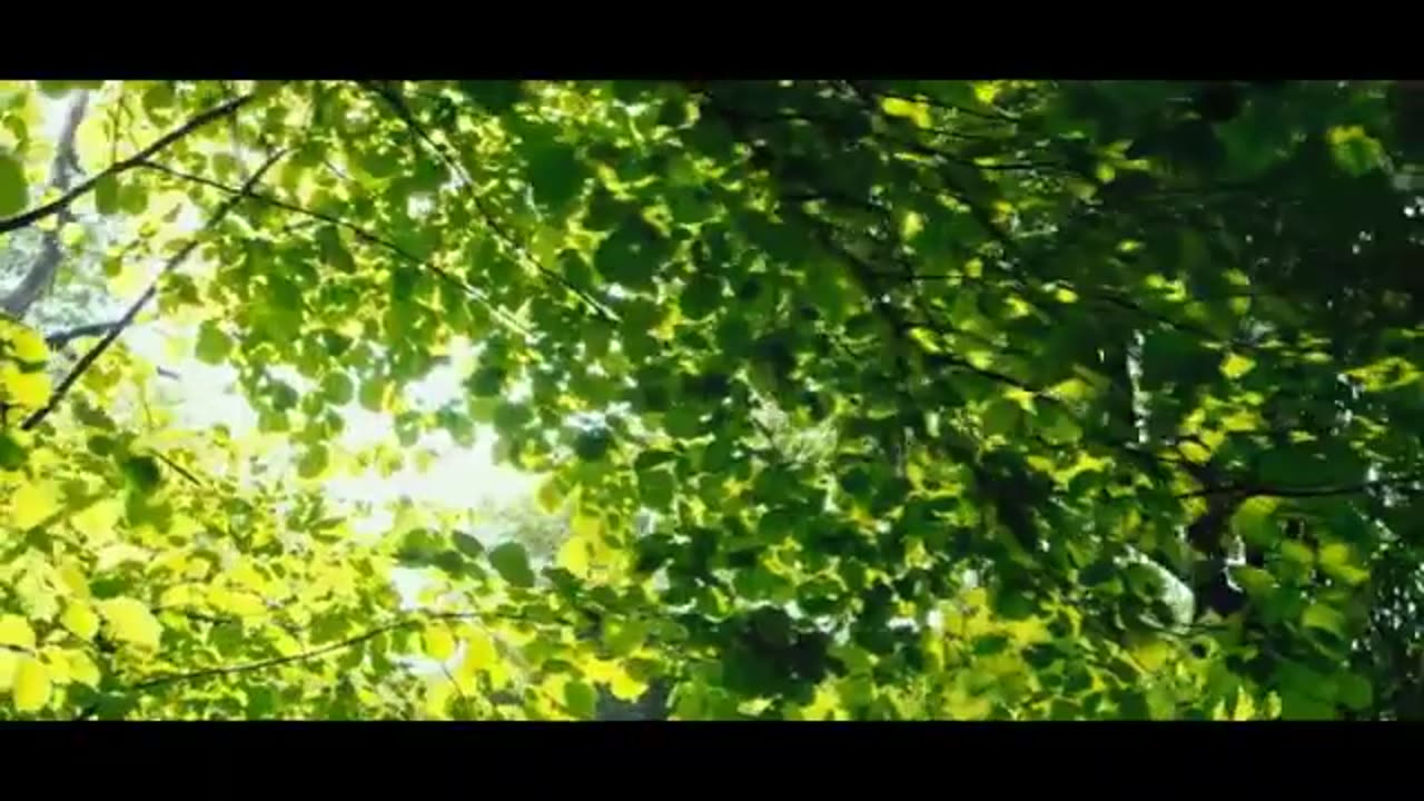 Zaboor 91 || Khuda De Par De Haithan || Zarish Younas and Mehwish Younas