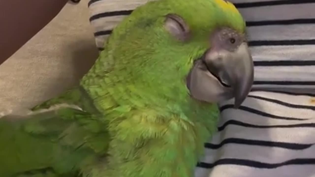 😂 You Won't Believe This Dino Dance! | FunFM