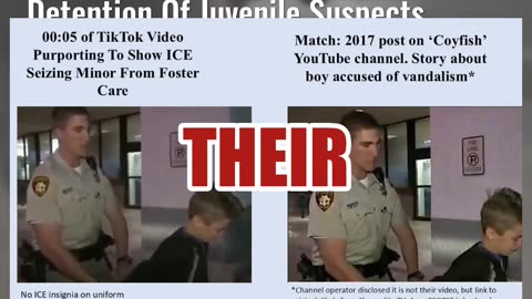 Fact Check: Video Clips Do NOT Show ICE Capturing or 'Removing' Foster Children For Deportation