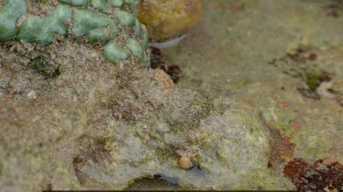 Daily Horoscope | Pisces 🌟