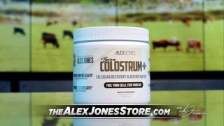Alex Jones Show 24/7