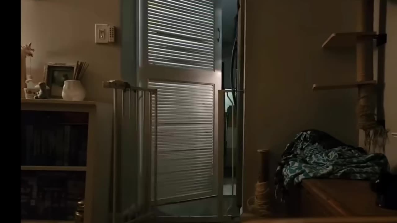 😱👻 You Won't Believe What They Caught on Camera! Scary Comp.11 | TheHauntingHour