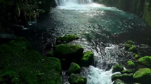 lotinha quininha seninha.mp4