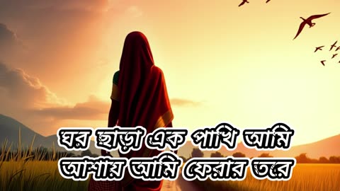 কান্না দেখেনি আঁধারে... 💔 ঘর ছাড়া এক পাখি আমি A Song for Every Probashi । Sabiha Dx