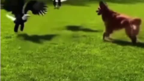 Oddly enough, this is NOT AI!??