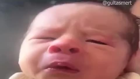 Viral: Try not to Laugh ❗ | 379 #funny