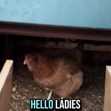 We don't need anybody else. God bless America.