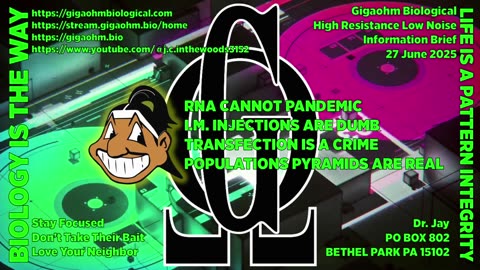 Gigaohm Biological High Resistance Low Noise Information Brief