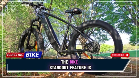DYU KING 750 Electric Bike 750W Motor 48V 20AH Battery 26*4.0 Inch Fat Tire Electric Bike