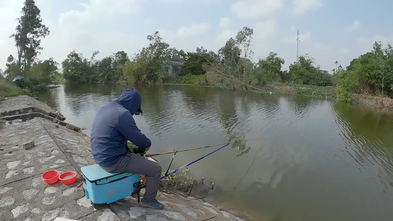 Goby Builds Under the River Stones