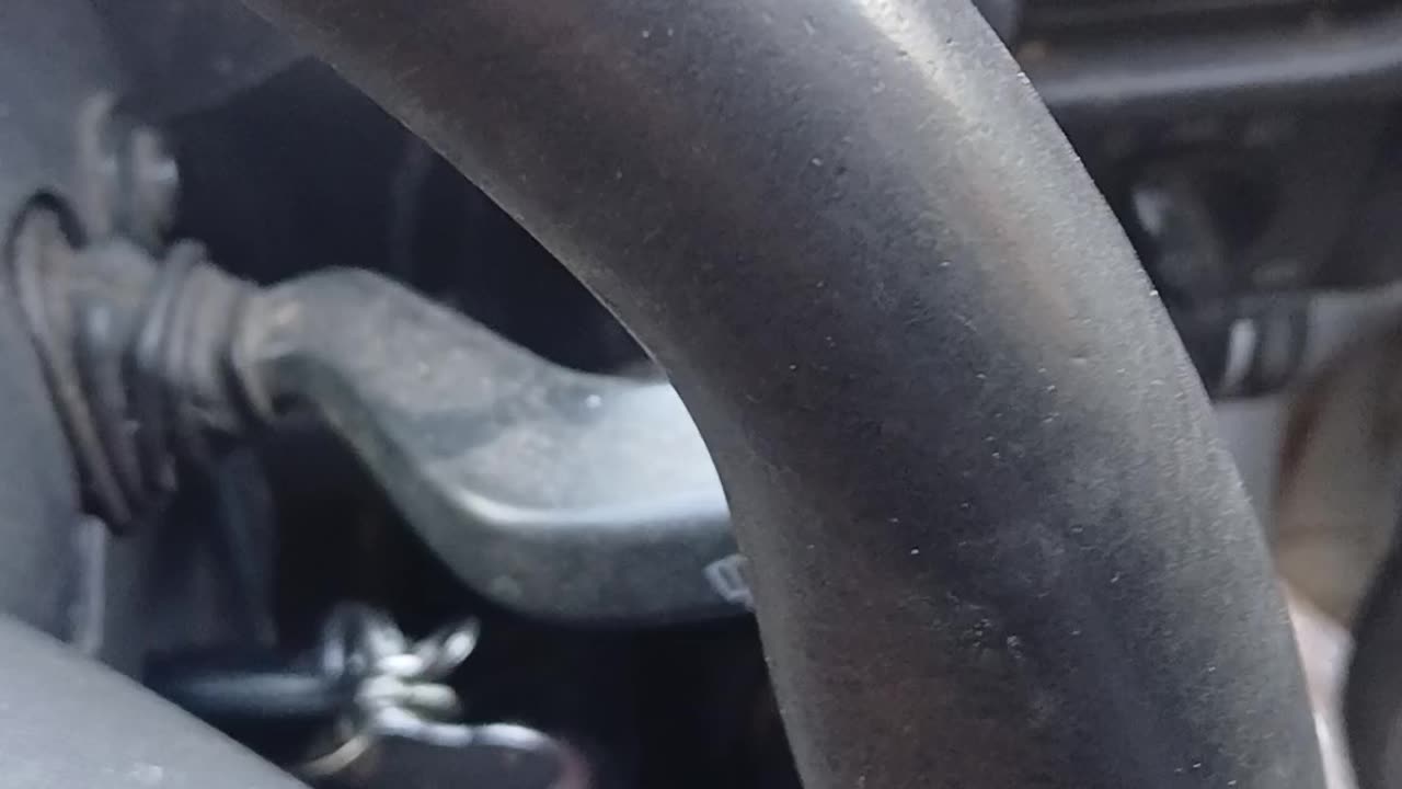 Cops and dog eaters out 4 a shit on the deceased