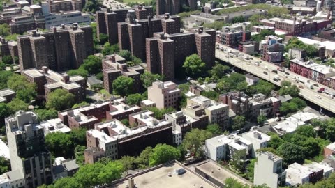 How Do Brooklyn Day Camps Support Child Development and Growth