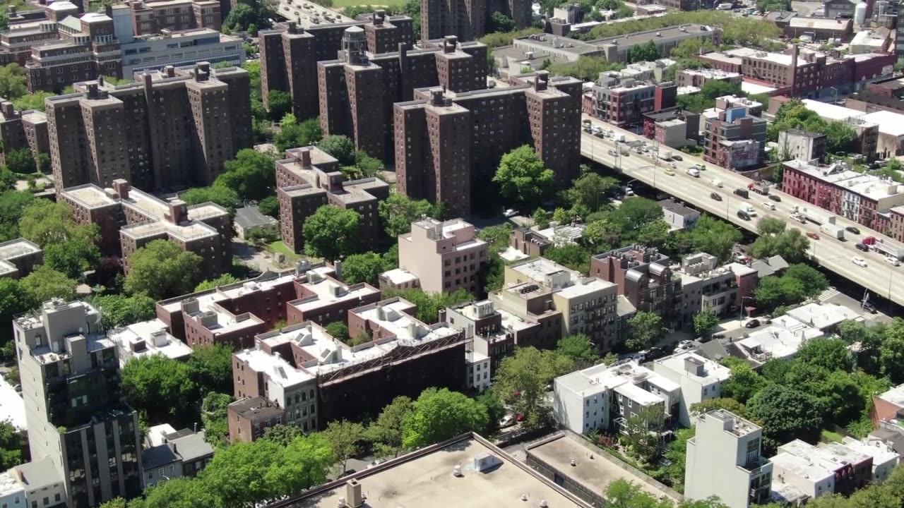 How Do Brooklyn Day Camps Support Child Development and Growth