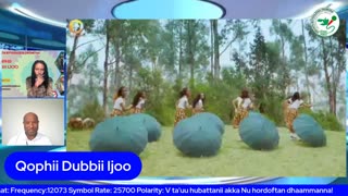 Qophii Dubbii Ijoo ONM-ABO Adoolessa 8-2025 itti dhiyaadhaa!