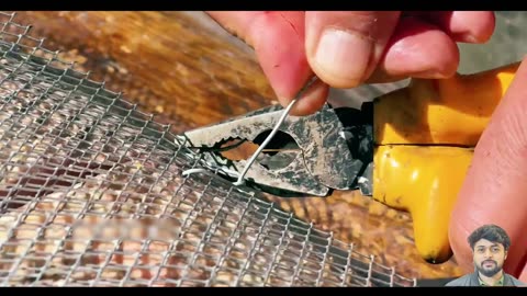 Giant Fish Cooking in the Wild | Traditional Recipe
