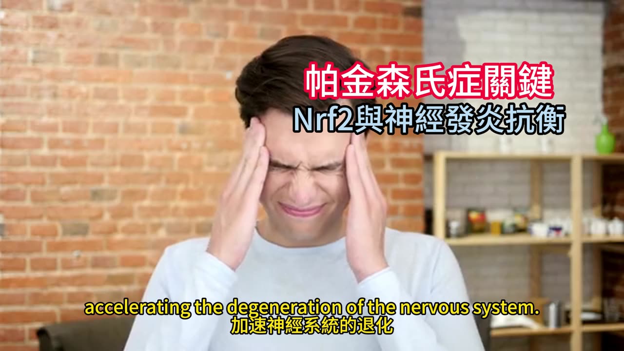 帕金森氏症關鍵 Nrf2與神經發炎抗衡