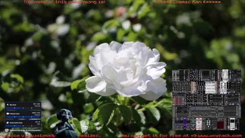 Ambient & Meditative Sound Exploration - VCV Rack for 🙏 Inner 🕉 Peace ☮ SFW