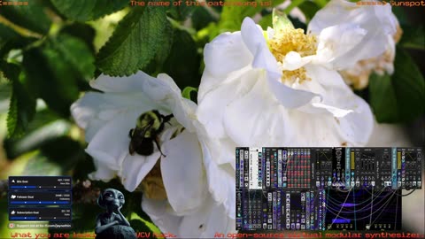 VCV Rack Ambient & Meditative Sound Exploration for 🙏 Inner 🕉 Peace ☮ SFW