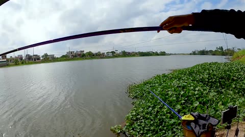 Tench Jigging in River Slack Zones