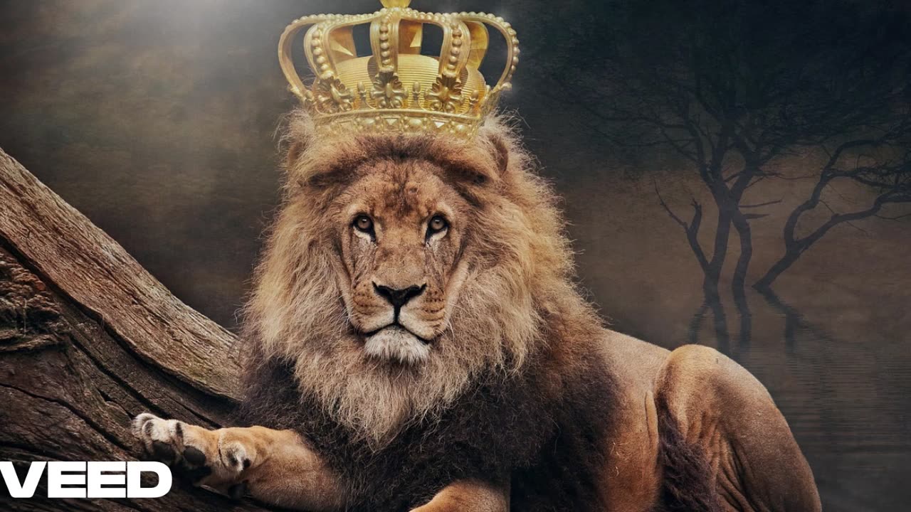 El Rey Torpe