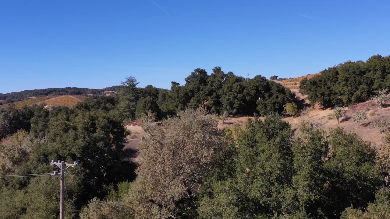 Paso Robles Back Country