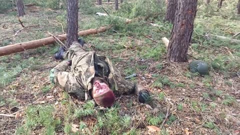 Ukraine war combat footage 7/13/25