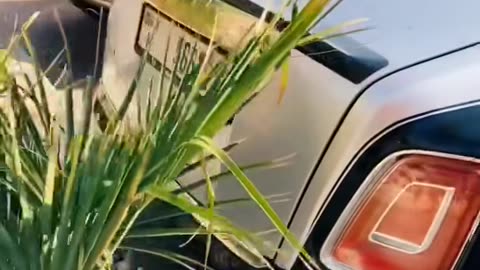 🏎️💨 The Most STUNNING Luxury Car Interior You'll See! | LuxurySportsCars