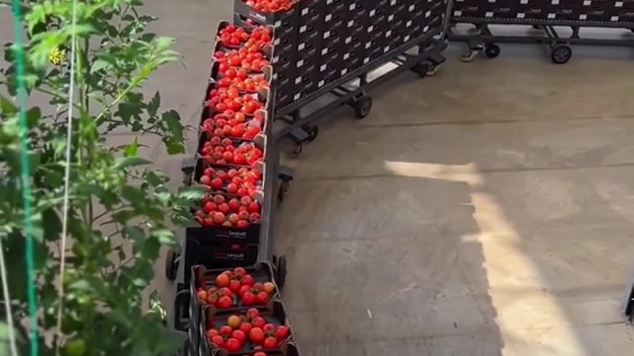Usines de production chinois