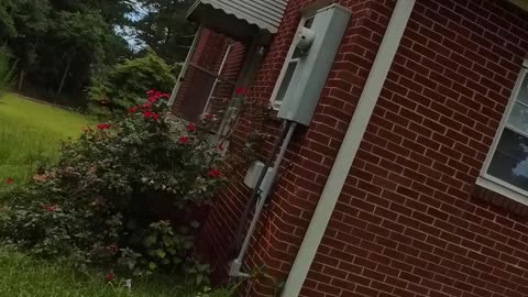 The tenant just moved out 🏚️ and headed back to Maryland… 🔍 but how did they leave the house? 👀