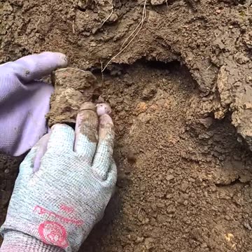 Couldn't believe on my eyes 😳 . This is real treasure.