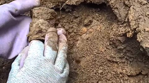 Couldn't believe on my eyes 😳 . This is real treasure.