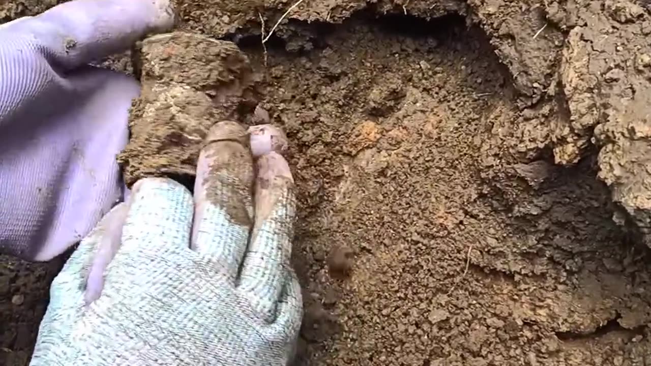 Couldn't believe on my eyes 😳 . This is real treasure.