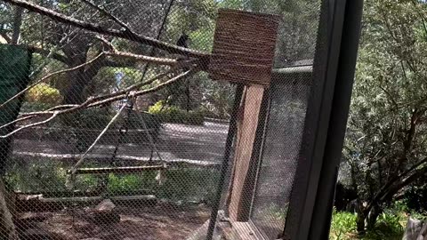 Bird Aviary at El Paso Zoo in Texas