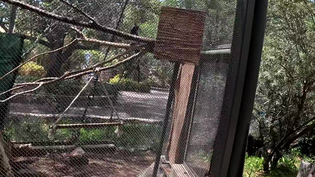 Bird Aviary at El Paso Zoo in Texas