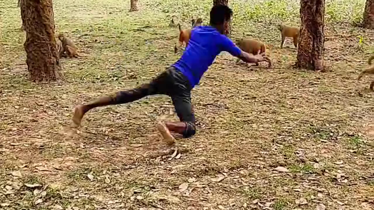 Funny video wait for end