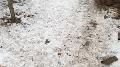 Kdy má člověk chodit spát