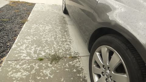 More strange sounds coming from neighbor's house!