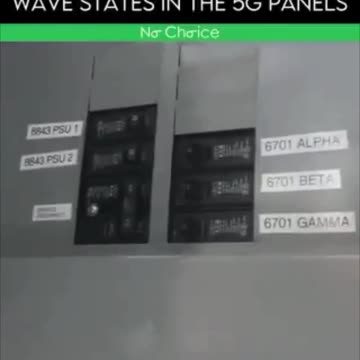 5G BEAMED KILLER WAVES - Reloaded from Julian Assange