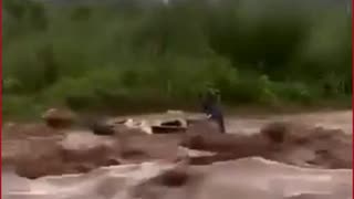 Tricity Scare | Jeep Swept Away in Chandigarh Floodwaters, Video Sparks Panic