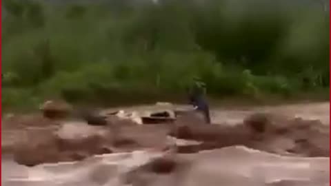 Tricity Scare | Jeep Swept Away in Chandigarh Floodwaters, Video Sparks Panic