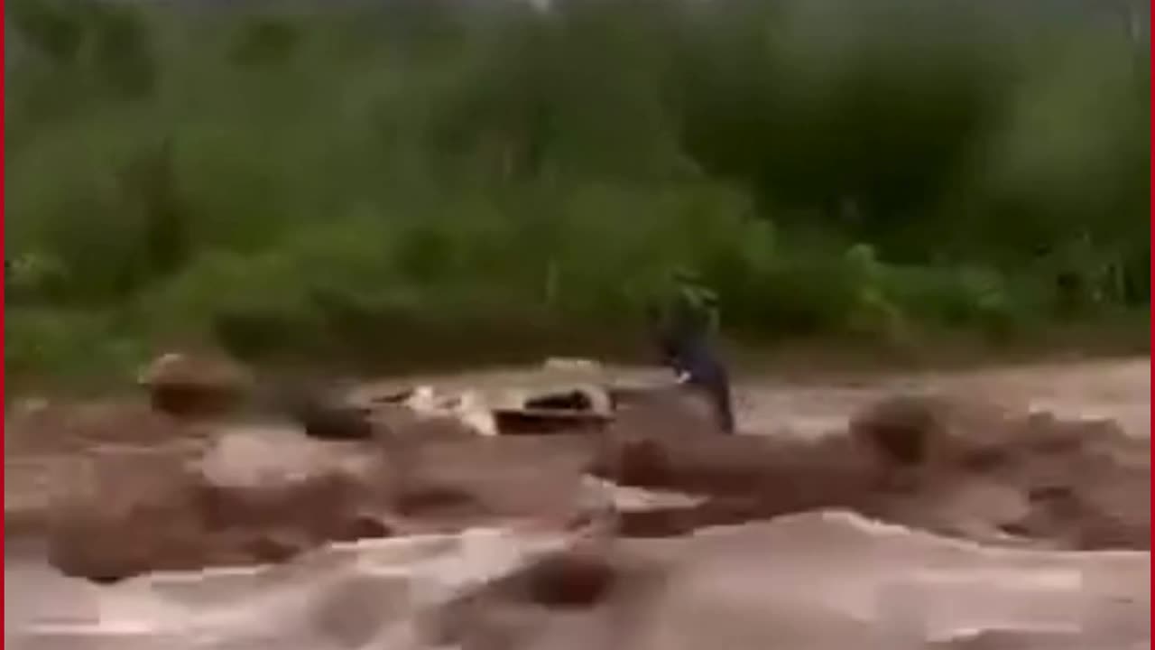 Tricity Scare | Jeep Swept Away in Chandigarh Floodwaters, Video Sparks Panic
