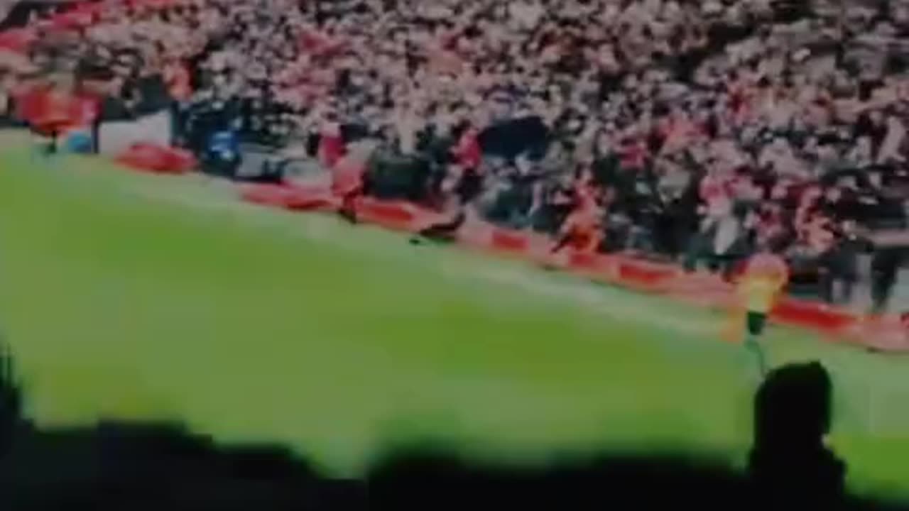 Highlights: Diogo Jota Goal