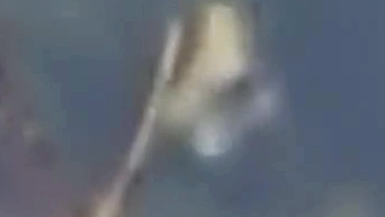 Strange object captured in Malibu Canyon, California, 2024